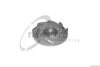 TRUCKTEC AUTOMOTIVE 01.19.007 Impeller, water pump
